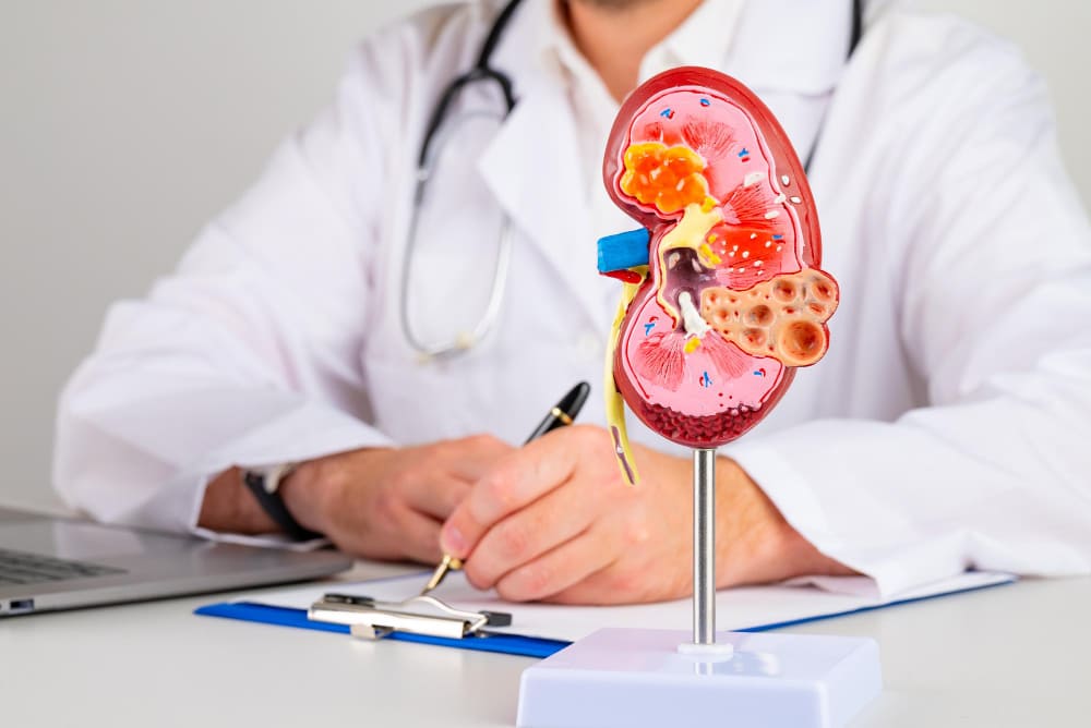 Renal Sciences